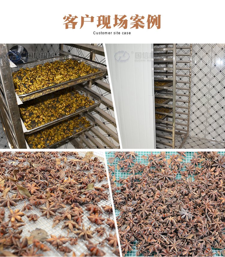 國信八角烘干機 茴香干燥、中藥材脫水的全自動化解決方案